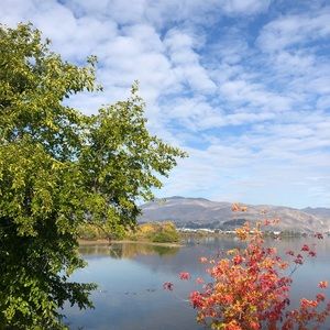 Meet your Posher, Grace